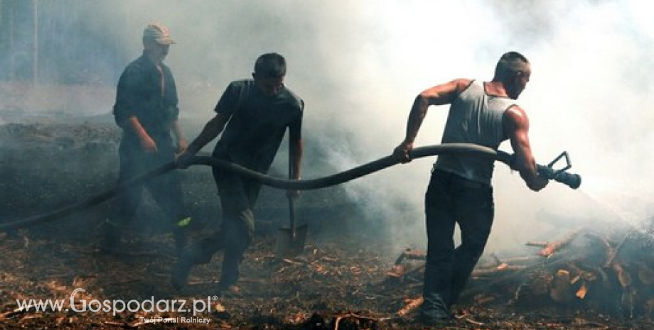 Pomimo burz i deszczów w lasach nadal sucho