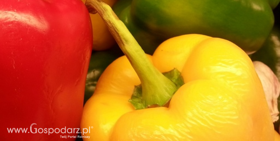 Większe wsparcie dla producentów owoców i warzyw
