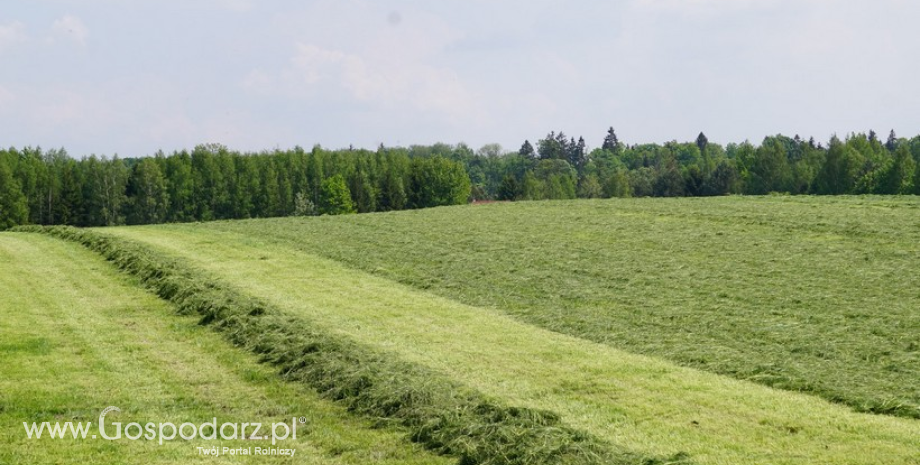 Użytkowanie łąk położonych na glebach torfowych