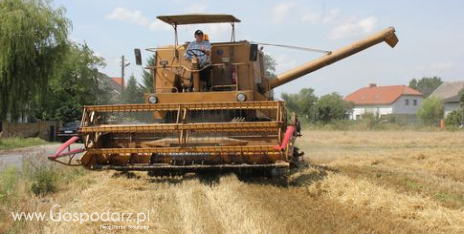 Rosja: Bardzo wysokie zbiory zbóż w rejonie Krasnodaru