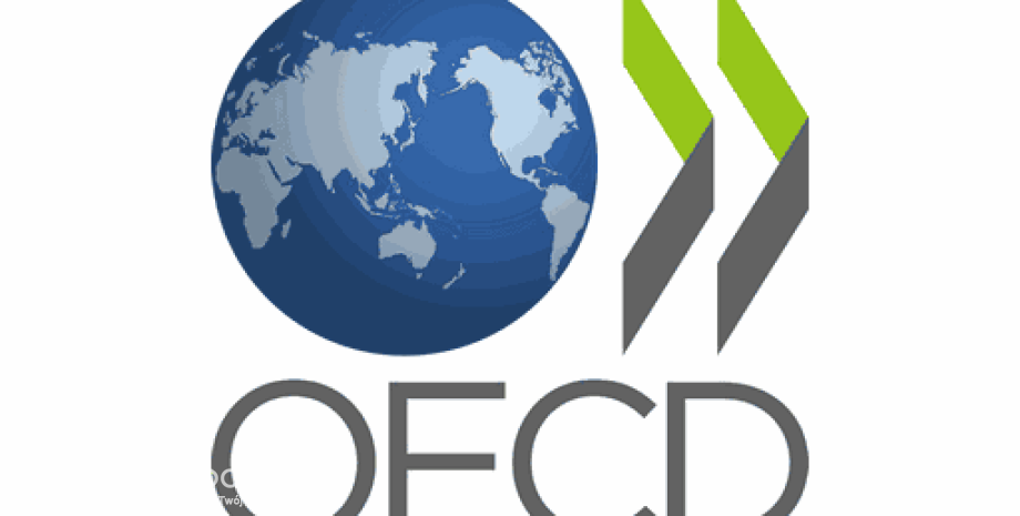OECD: Polska gospodarka potrzebuje uproszczenia podatków i przyspieszenia prywatyzacji
