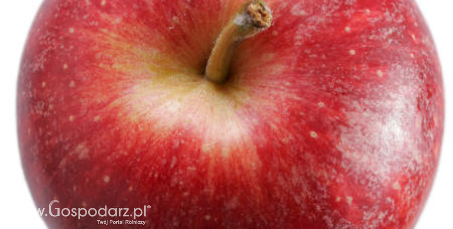Francja – Spadek zbiorów jabłek i gruszek