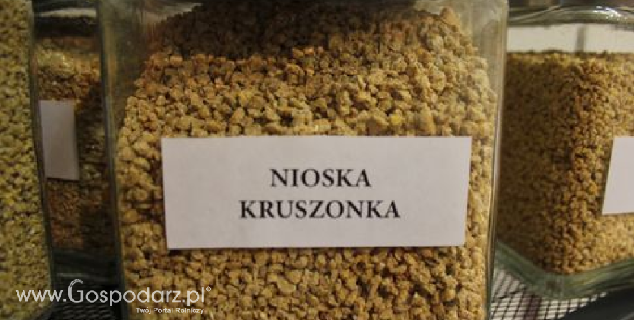 Indie nowym rynkiem dla polskich pasz i dodatków paszowych