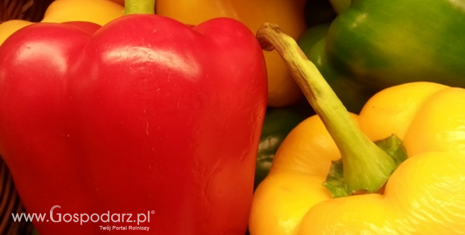 Co dalej z polskimi owocami i warzywami? Przed rozmowami z UE