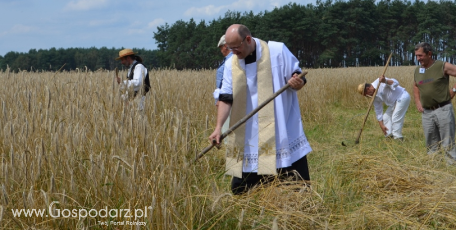 Jak to z chlebem było