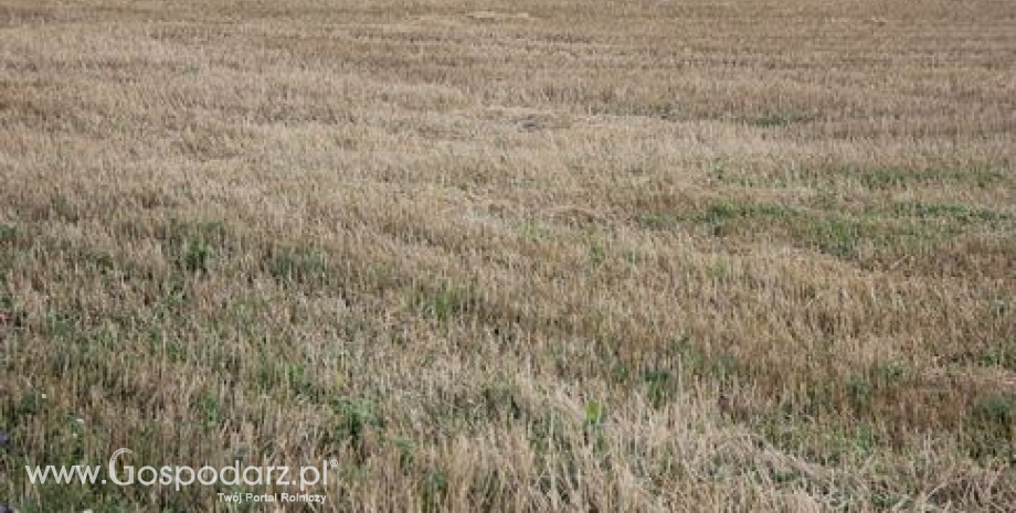 Trwa wypłata dopłat bezpośrednich i płatności rolnośrodowiskowych za 2012 rok. ARiMR wypłaciła już ponad 10,3 mld zł