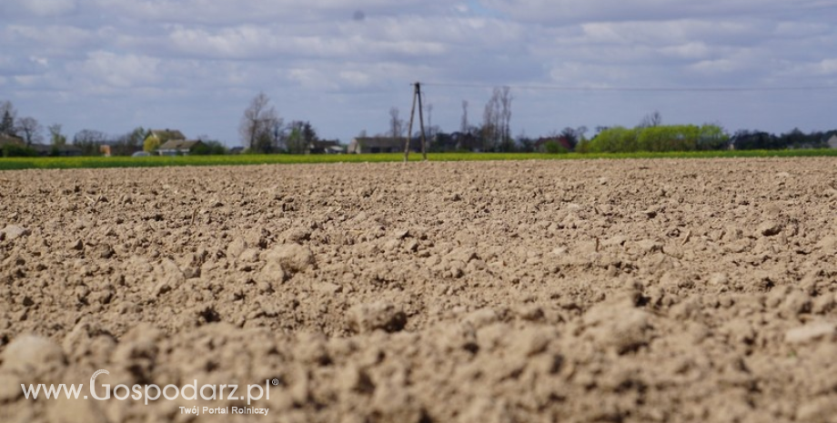 Oto najczęściej zadawane pytania ws. ustawy o ziemi