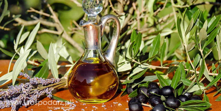 Zdrowotne właściwości oliwy z oliwek są udowodnione przez polskich naukowców
