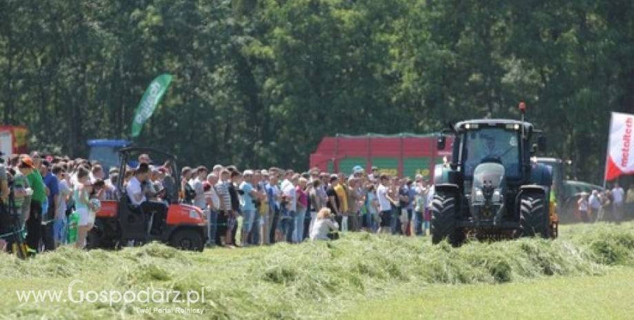 Zielone Agro-Show - Polskie Zboża w Sielinku