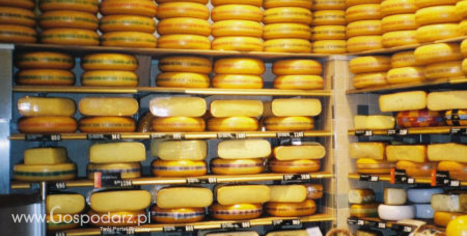 Rośnie eksport serów z UE