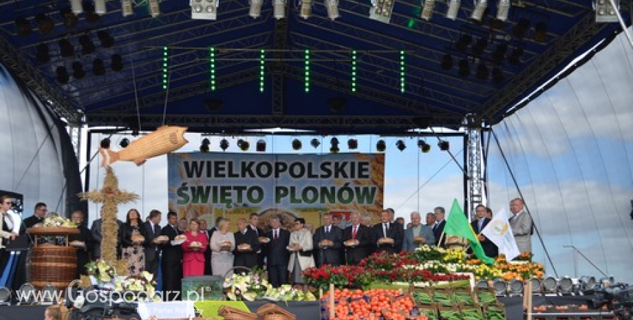 Wielkopolskie Święto Plonów Michałków 2013
