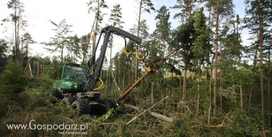 Trwa porządkowanie powalonych lasów