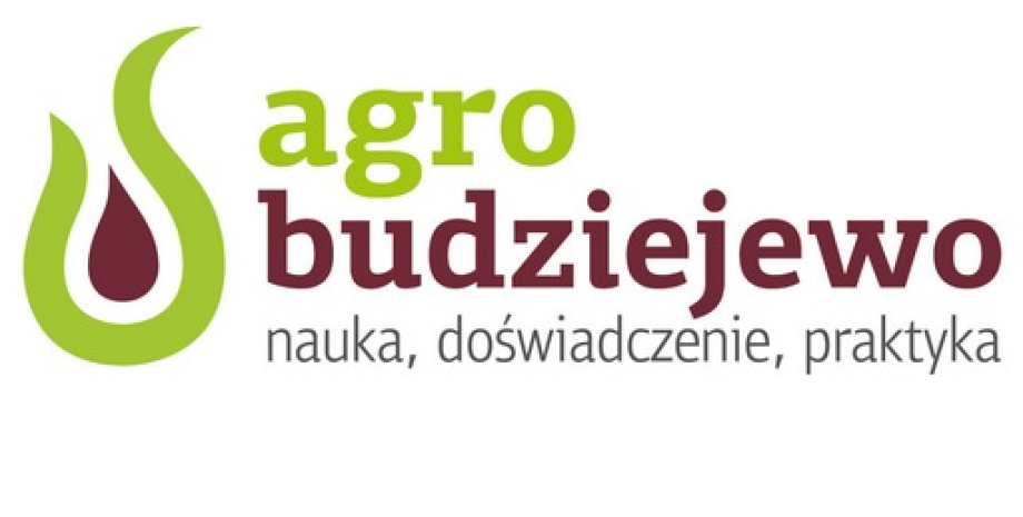 Agrobudziejewo - podsumowanie