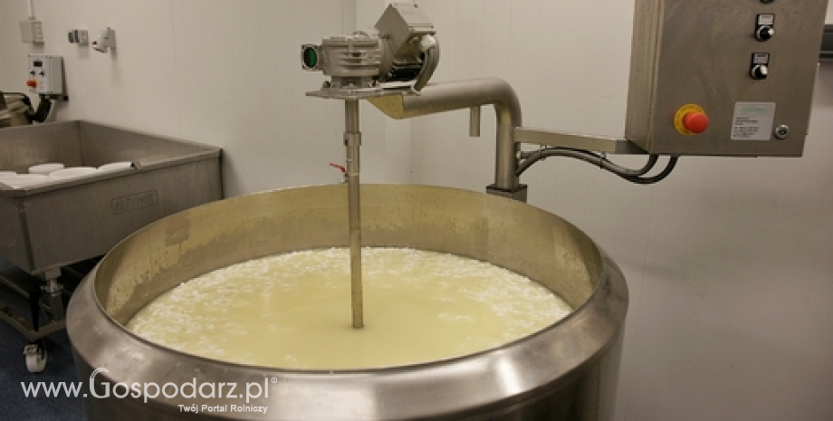 Mmniejszy import produktów mleczarskich z Polski do UE