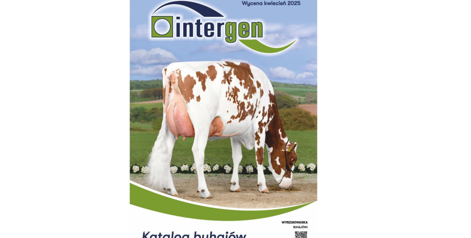 Wycena buhajów HF po raz pierwszy metodą Single-Step