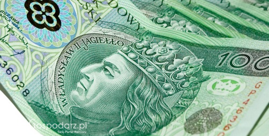 Trwa wypłata dopłat bezpośrednich i płatności rolnośrodowiskowych za 2012 r. ARiMR wypłaciła już ponad 13,2 mld zł