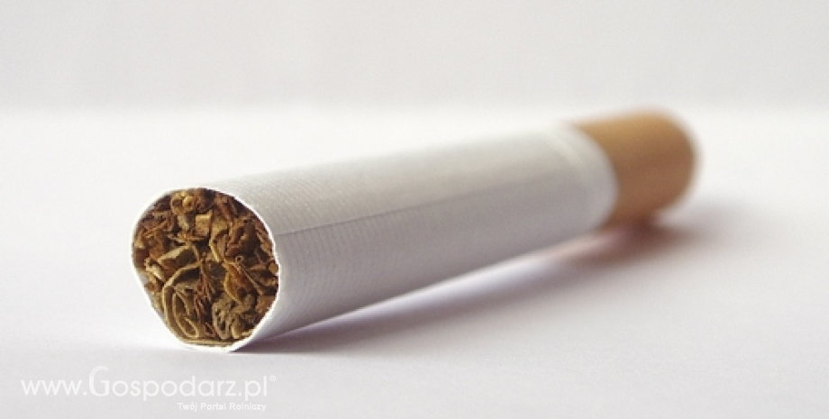 Nowa dyrektywa tytoniowa Komisji Europejskiej