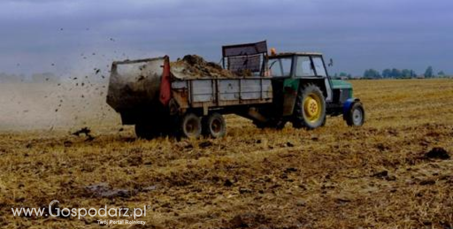 Zasady przejściowe dla rozwoju obszarów wiejskich