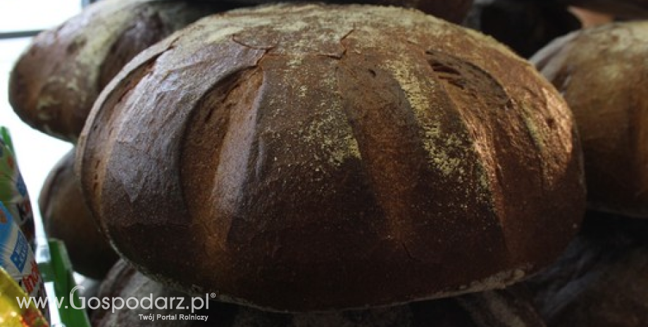 Ceny zbóż i produktów zbożowych w Polsce i Europie