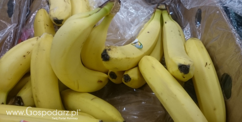 Znakowanie bananów konsumpcyjnych na etapie sprzedaży detalicznej