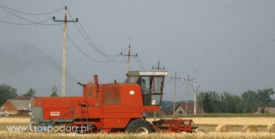 Notowania zbóż i oleistych. Przecena kontraktów na Matif (24.08.2015)