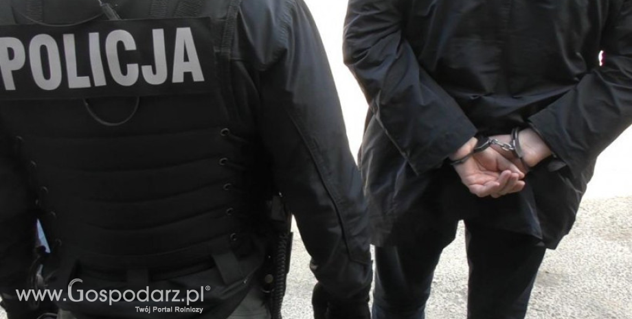 Przejęte 19 mln papierosów, wartych blisko 17,7 mln zł