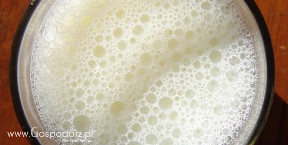 Ceny skupu mleka w Polsce. W marcu wzrosły o 0,2%
