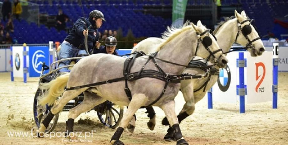 CAVALIADA Poznań 2014