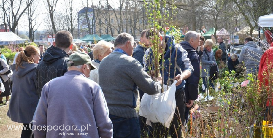 XLVI Wiosenne Targi Ogrodnicze w Słupsku