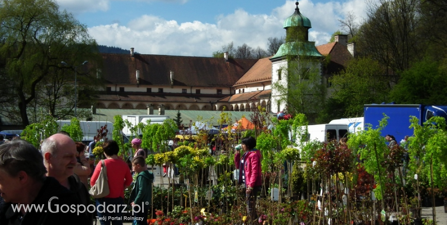 XVIII Wystawa Ogrodnicza w Suchej Beskidzkiej