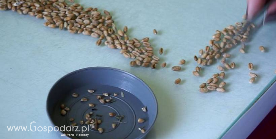 Stawki dopłat do materiału siewnego za 2016 r.