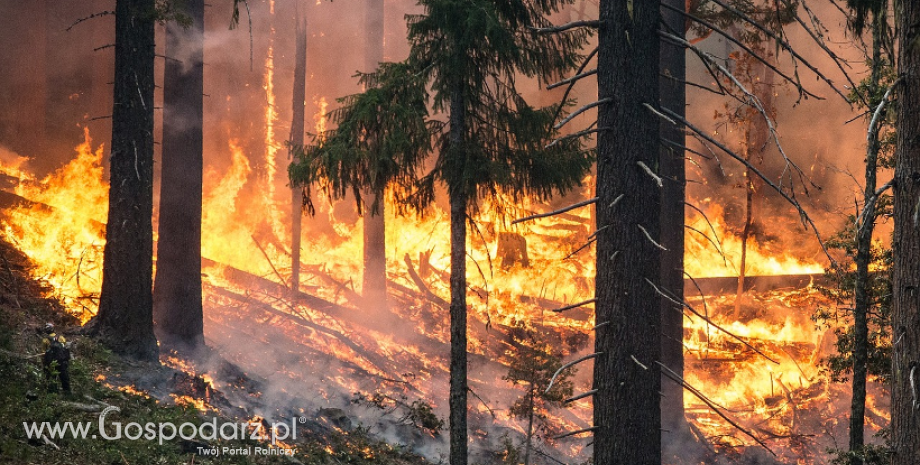 Leśnicy rozpoczęli sezon przeciwpożarowy
