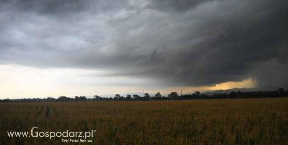 Sytuacja hydrologiczna w Polsce. Nadchodzą burze (31.08.2017)