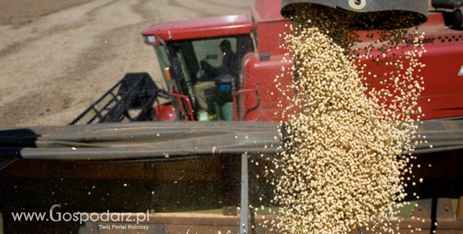 Notowania zbóż i oleistych. Raport USDA przełożył się na wzrosty kontraktów (10.05.2016)