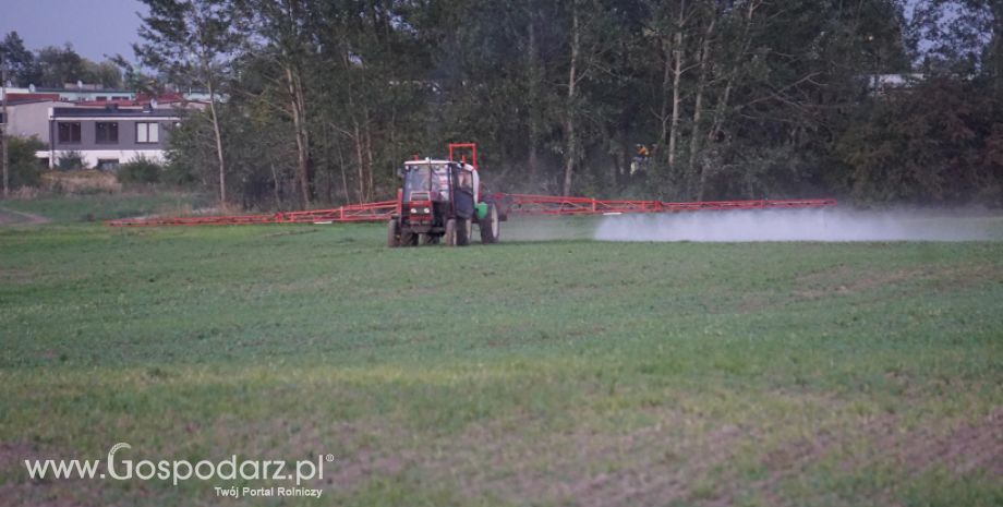 Wystąpienie Zarządu KRIR w sprawie planów ograniczenia stosowania środków ochrony roślin - stanowisko MRiRW