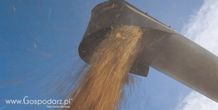 USDA zapowiada rekordowe zbiory soi w USA i na świecie