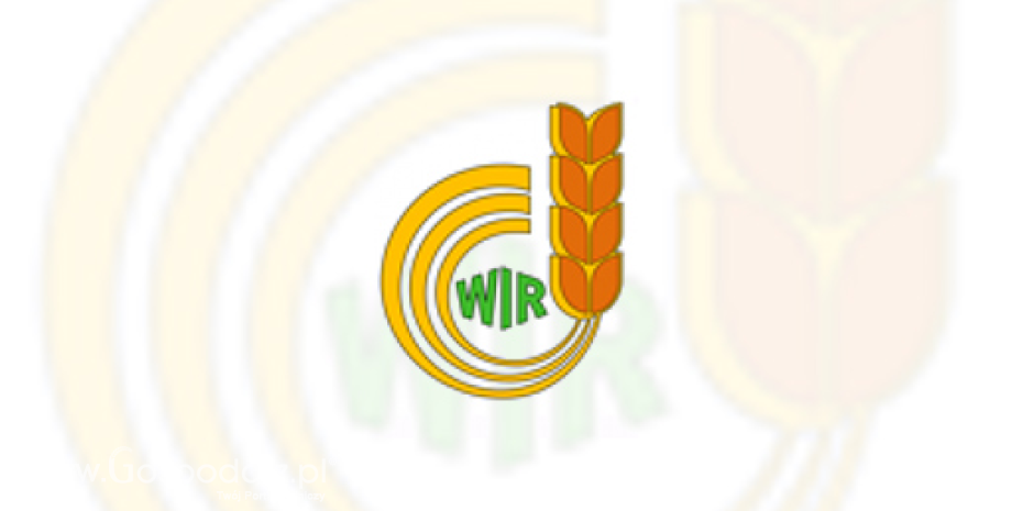 Wystąpienie WIR ws. wsparcia na rynku trzody chlewnej