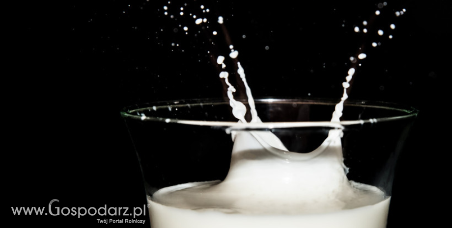 Eksport polskich produktów mlecznych
