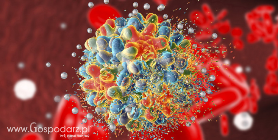Nanocząstką w raka