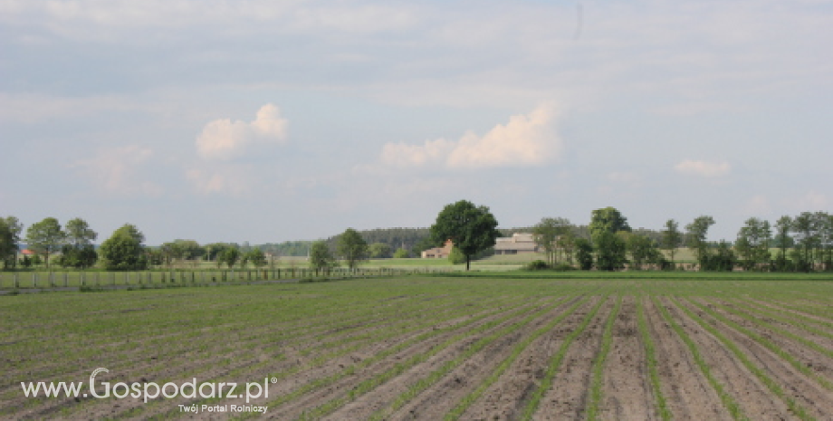 Rekultywacja gruntów