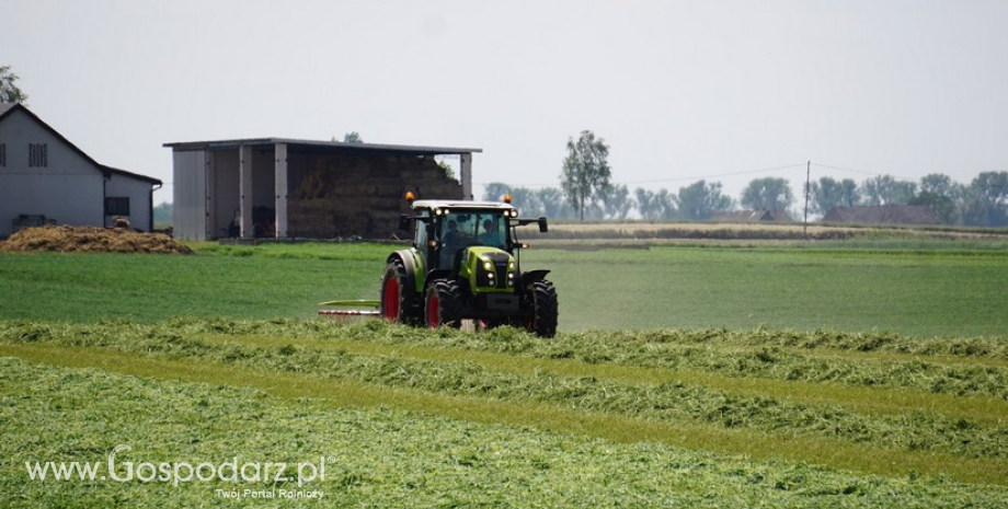 Koniunktura w rolnictwie. Poprawa rynkowych uwarunkowań produkcji rolniczej