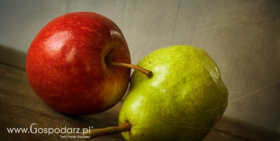 Ceny jabłek i gruszek w Polsce (20.10.2015)