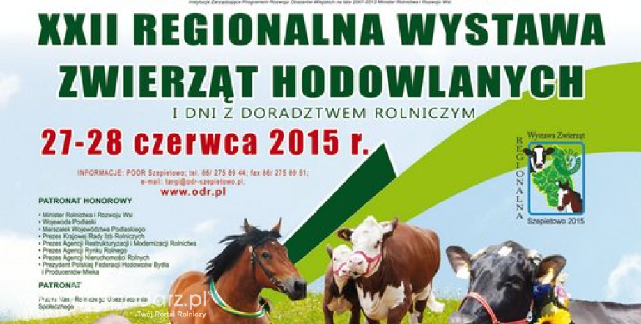 XXII Regionalna Wystawa Zwierząt Hodowlanych w Szepietowie. Największe targi rolnicze północno-wschodniej Polski