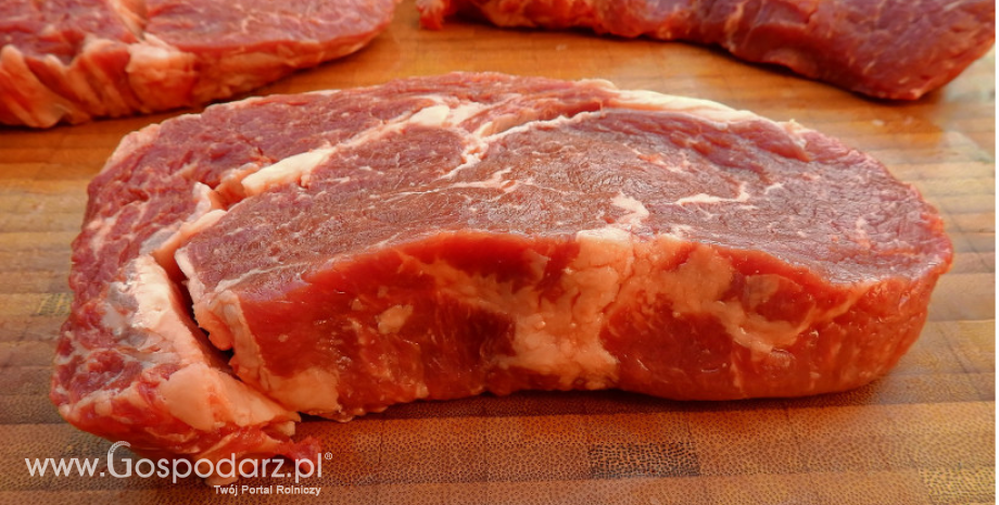 Ceny mięsa wieprzowego i drobiowego (14.08.2022)