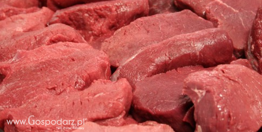 Niższy import mięsa i żywca wołowego do UE w 2015 r.