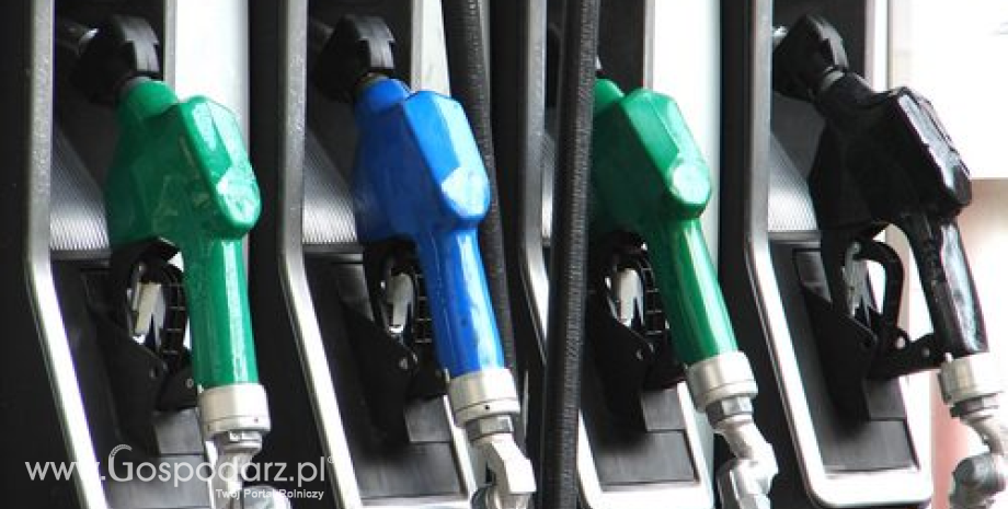 Benzyna, olej napędowy i LPG tanieją o 2 gr/l