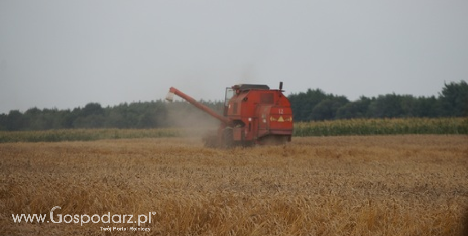 Prognozy zbiorów zbóż na sezon 2015/2016 mniejsze o 3%