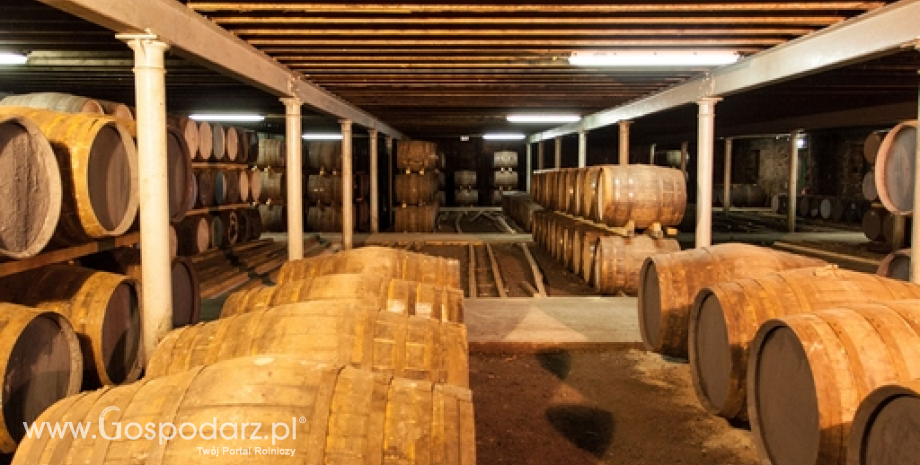Szybko rośnie konsumpcja whisky w Polsce