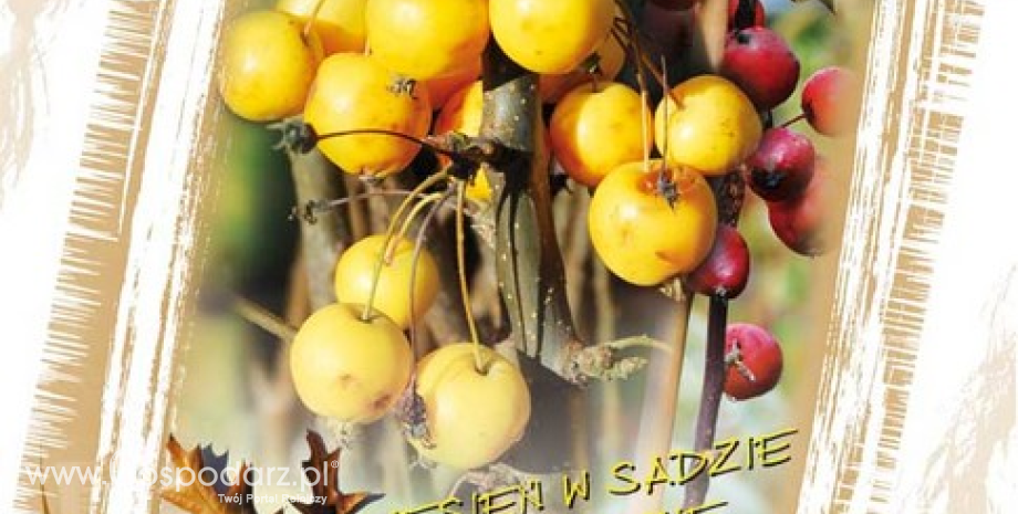 Jesień w sadzie i ogrodzie