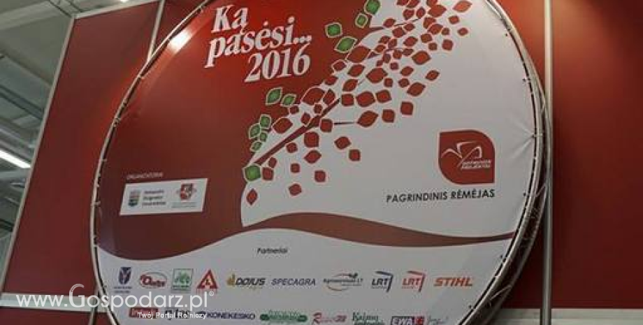 Ką pasėsi... 2016